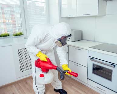 ابادة الحشرات بالتبخير