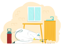 افضل خدمة بافضل سعر لمكافحة الحشرات بمصر