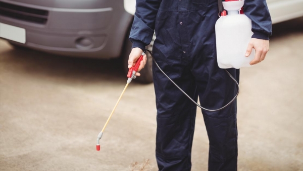 مكافحة الحشرات