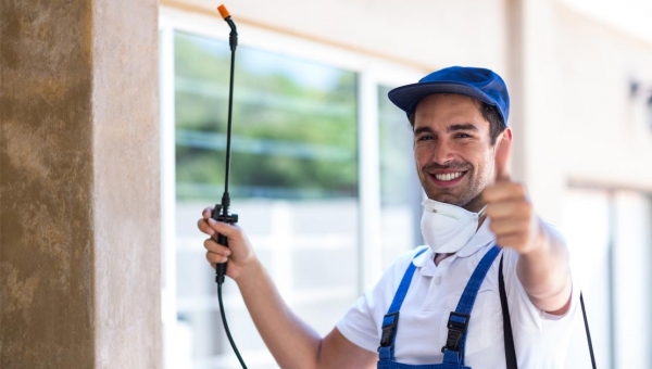 مكافحة البعوض