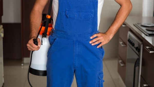 مكافحة البراغيث