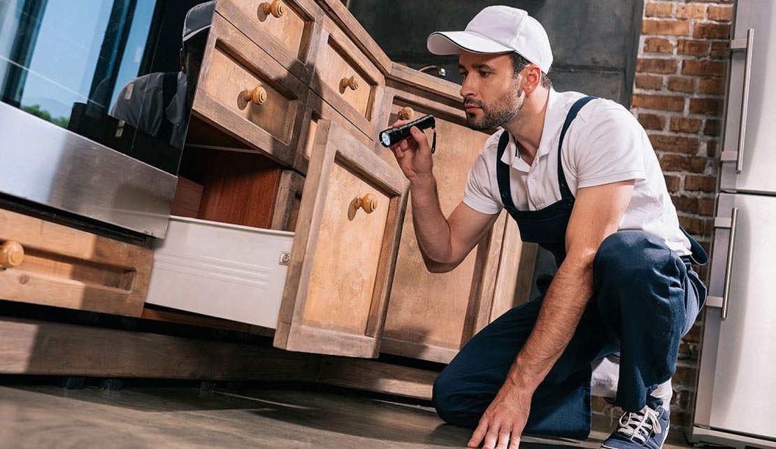 مكافحة الصراصير