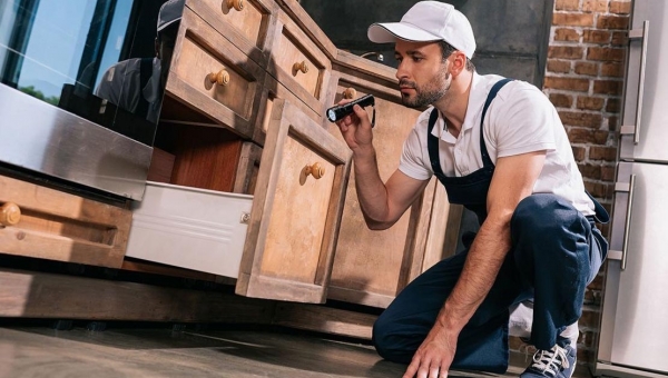 مكافحة الصراصير