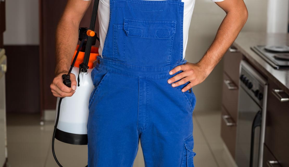 مكافحة الفئران